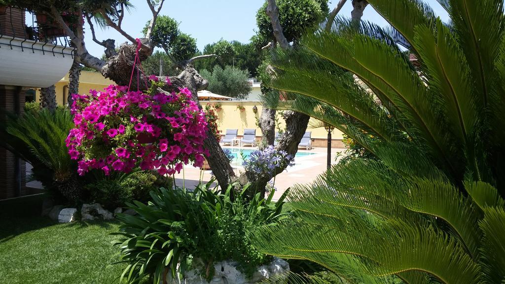 Alba Chiara Bed & Breakfast อันซีโอ ภายนอก รูปภาพ